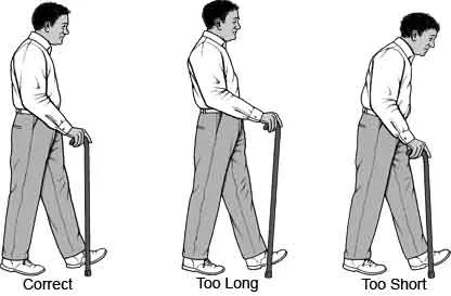 FOLDING WALKING STICK